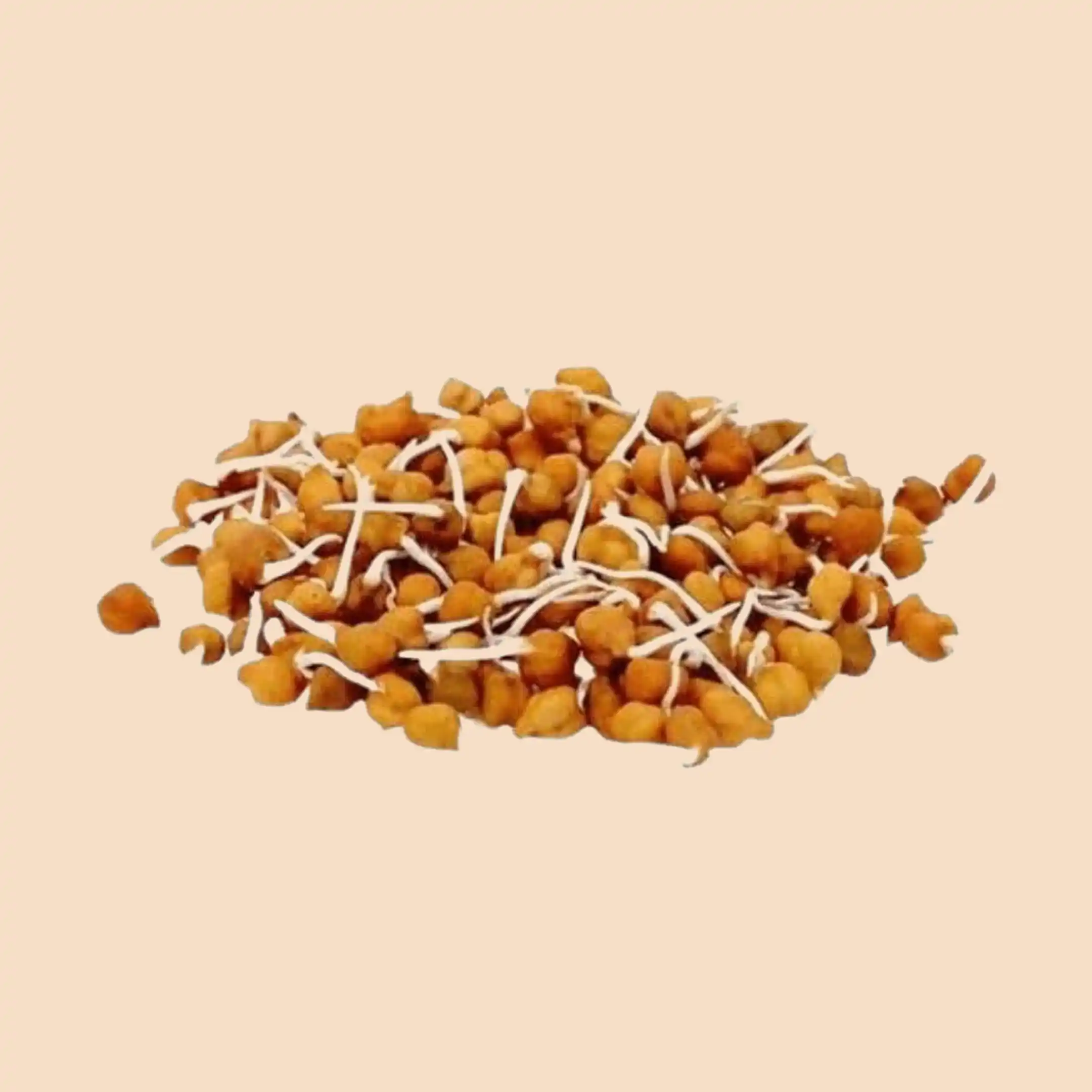 chana sprouts