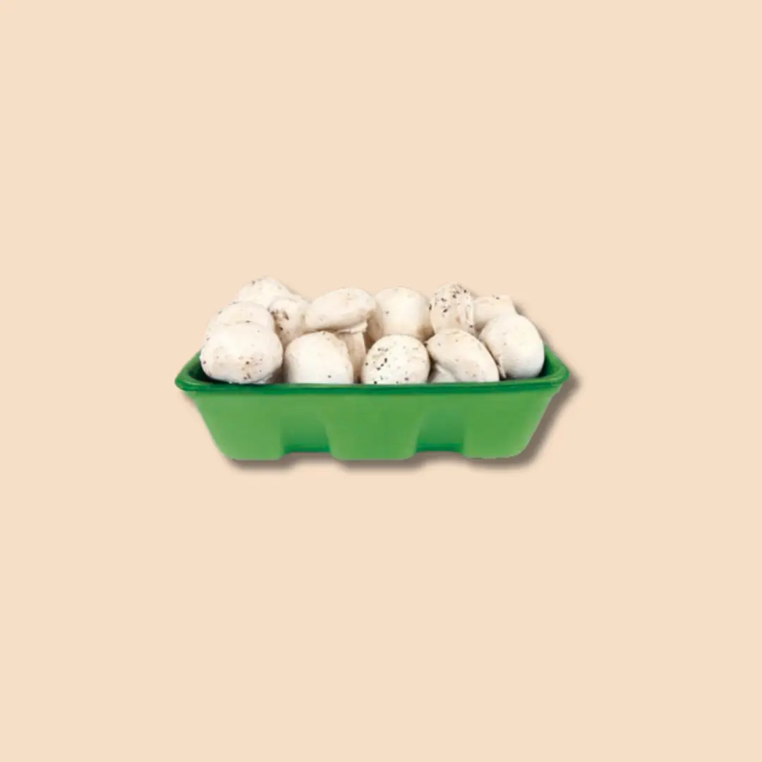 Mushroom